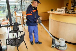 Chantier d'insertion
