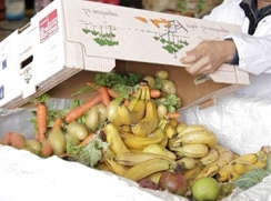 Lutte gaspillage alimentaire