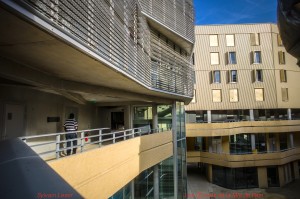 Sylvain Leser Copyright